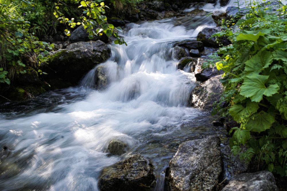Фотография автора Елена Викторовна