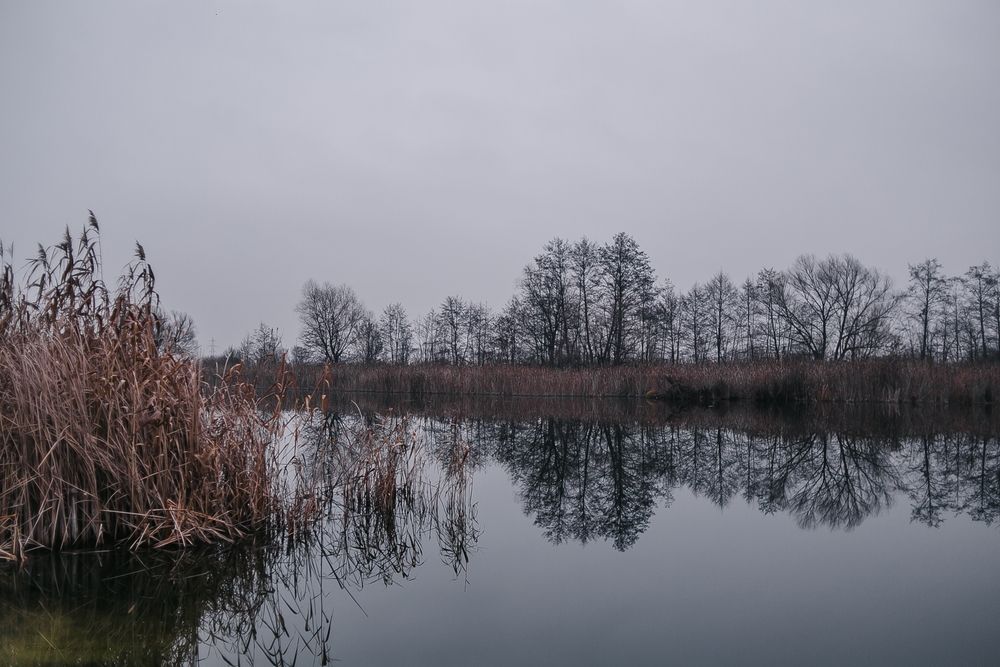 Photograph by Elena Chilikina