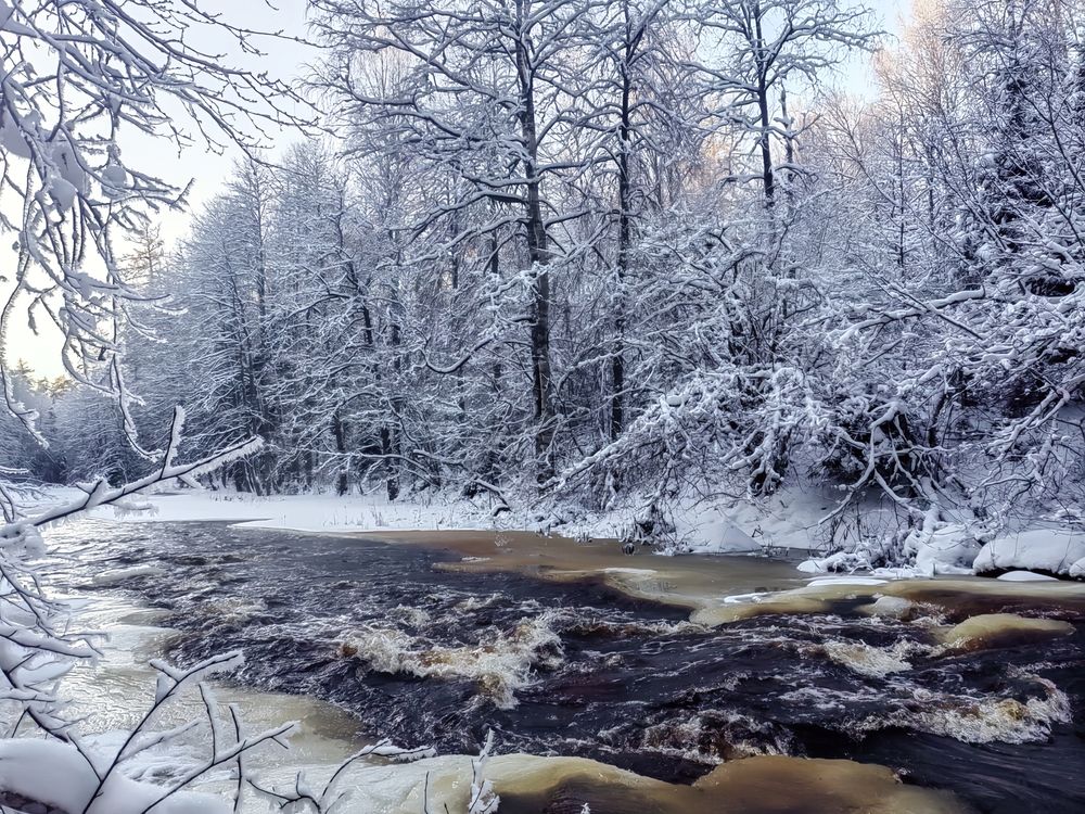 Photograph by Мария Самохвалова