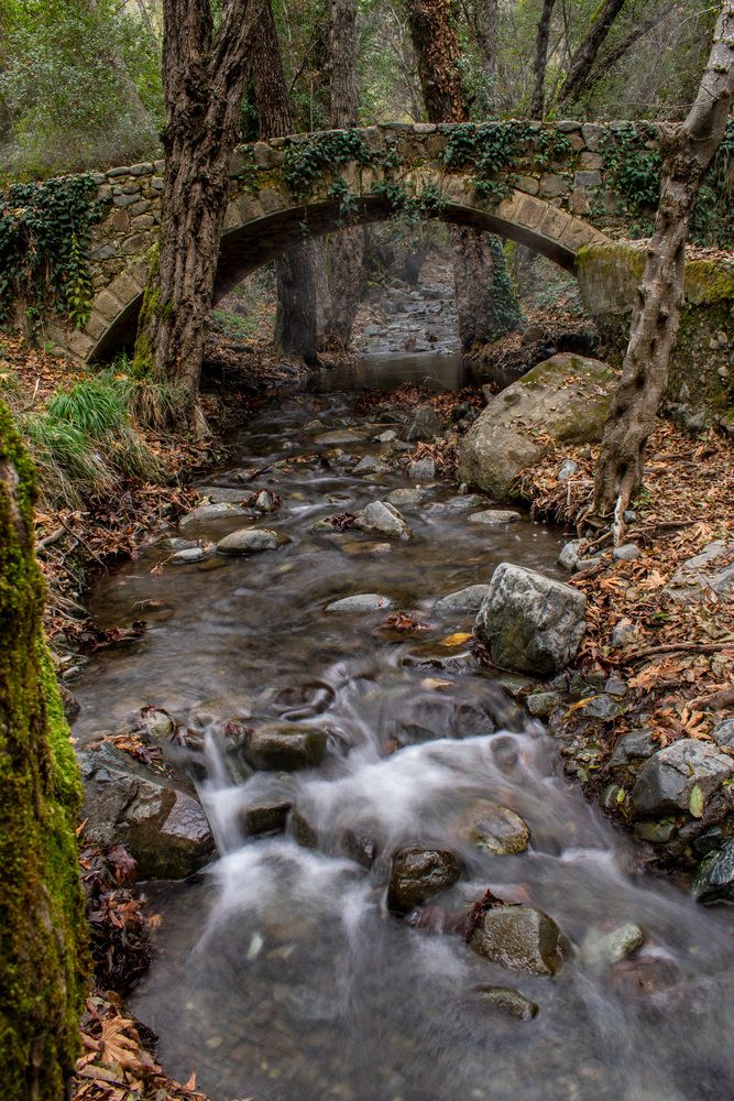 Фотография автора Дьяченко Алёна