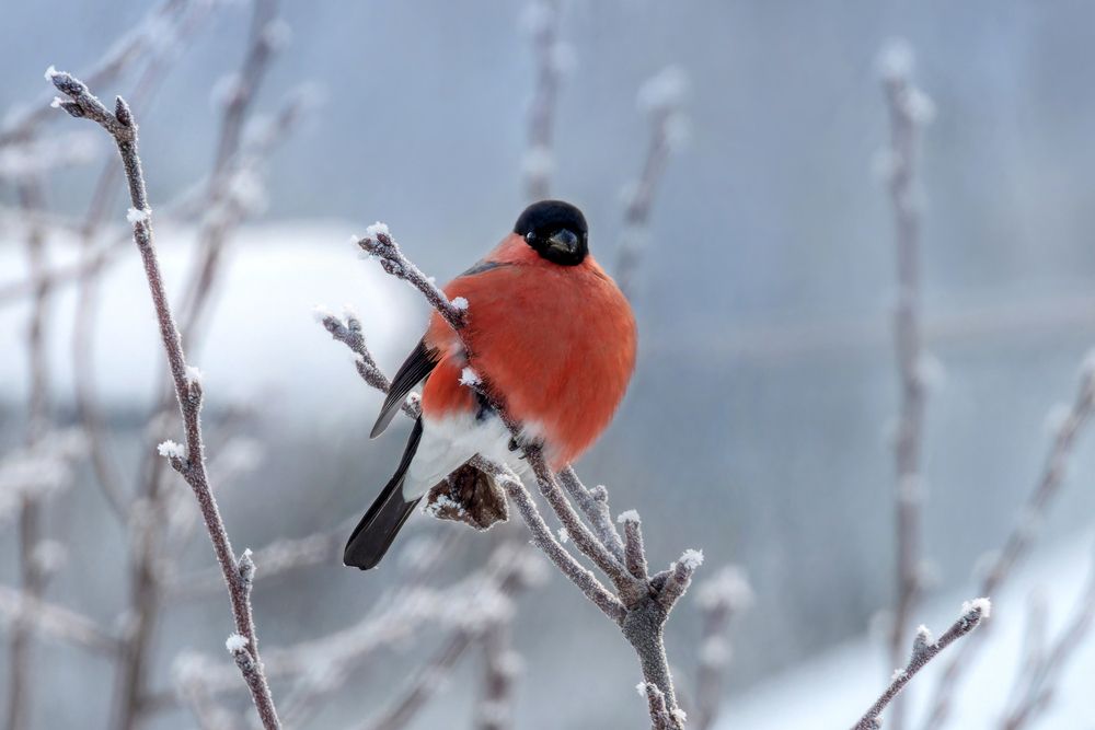 Photograph by АНДРЕЙ АБАКУМОВ