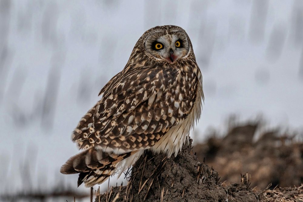 Photograph by Константин Тучин