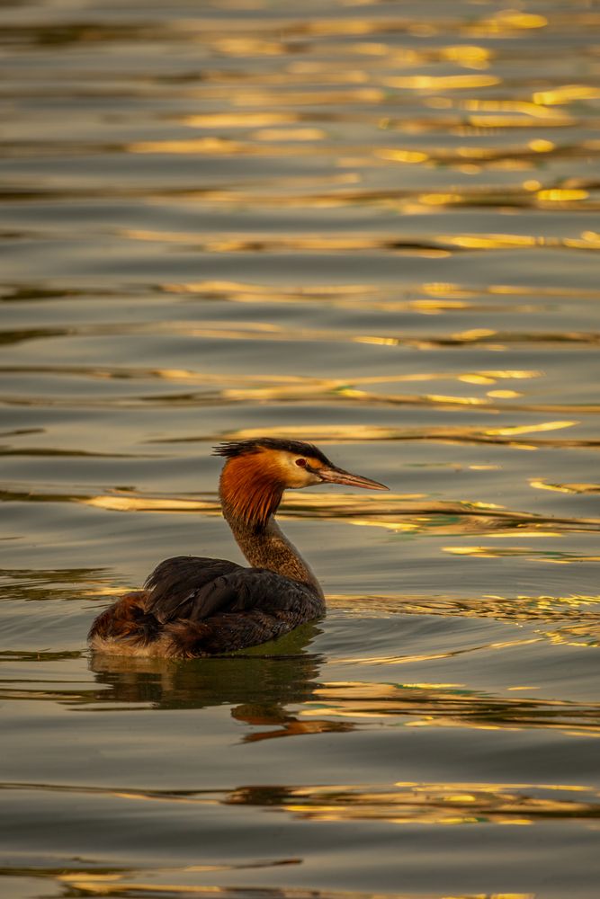 Photograph by Елена Луговая