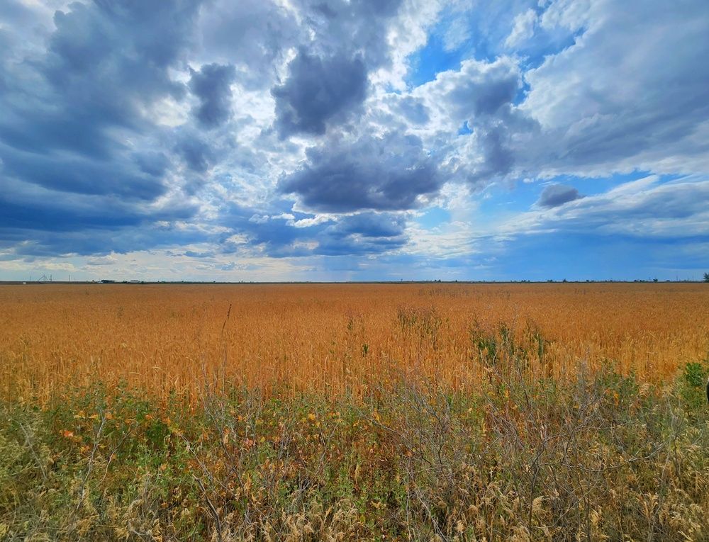 Photograph by Ирина