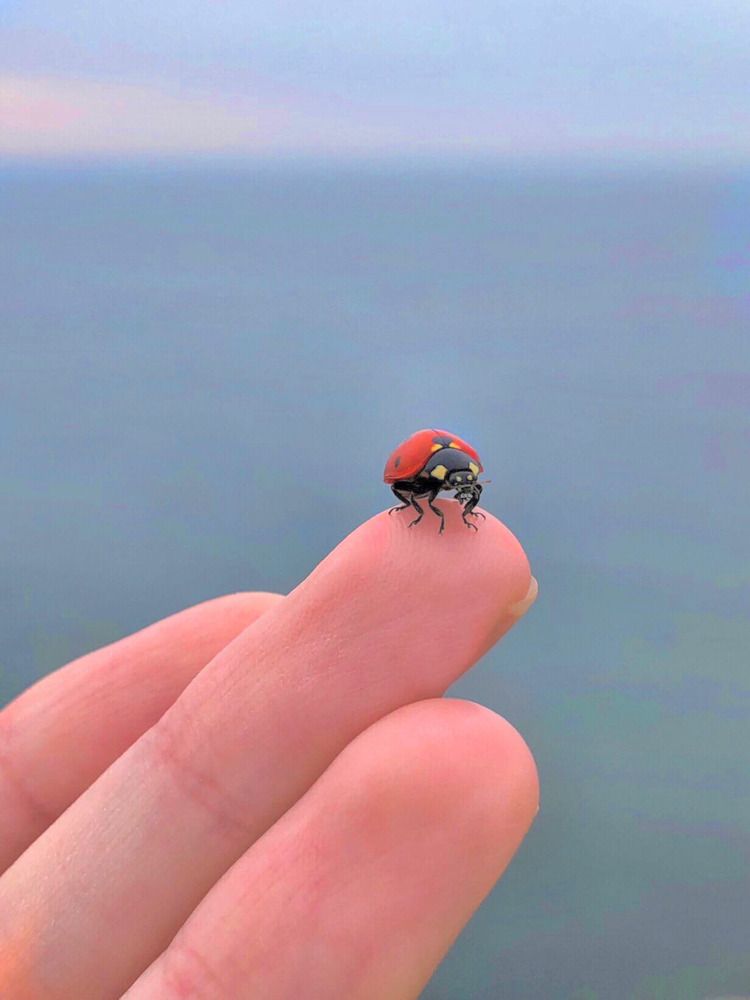 Photograph by Алина Подгорная-Стукун