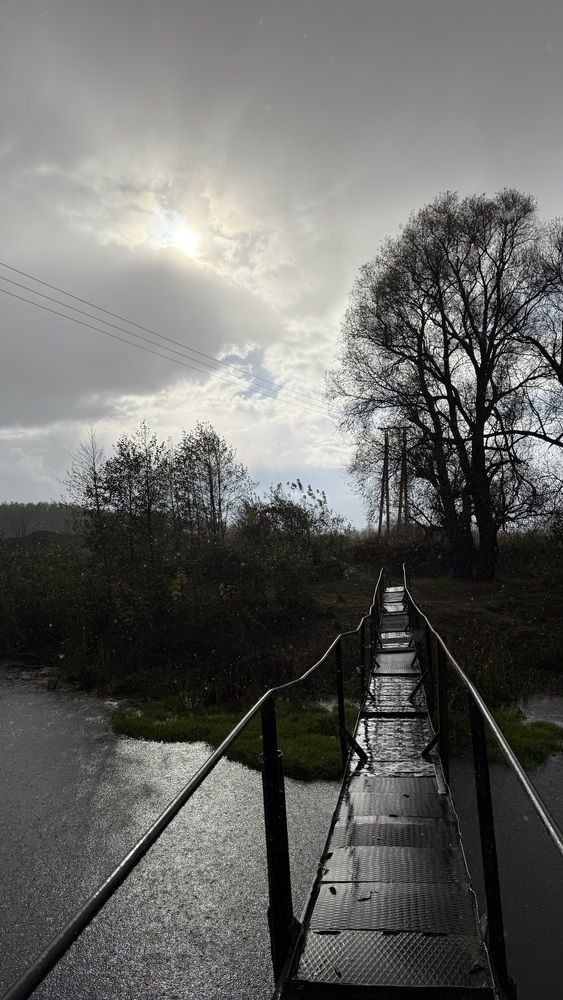 Photograph by Елена Гущина