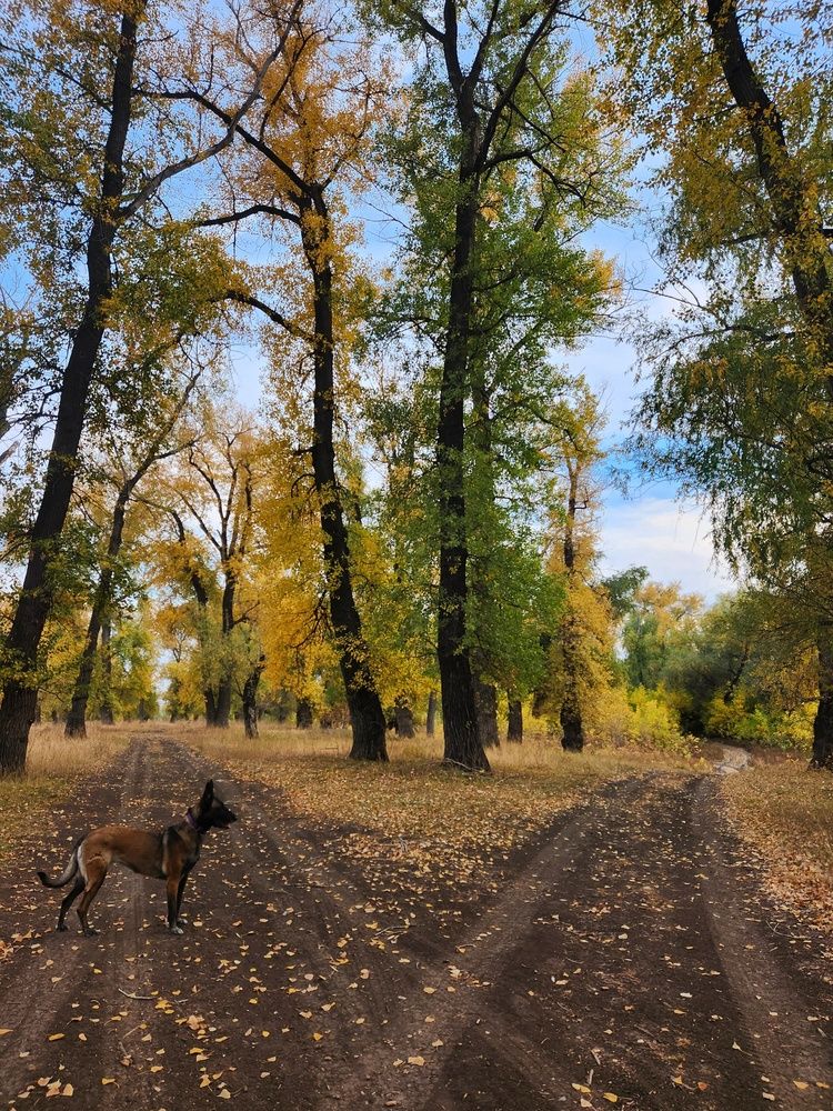 Photograph by Ирина