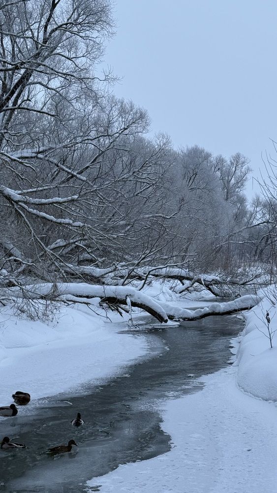 Photograph by Елена Гущина