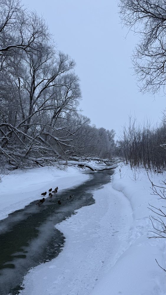Photograph by Елена Гущина