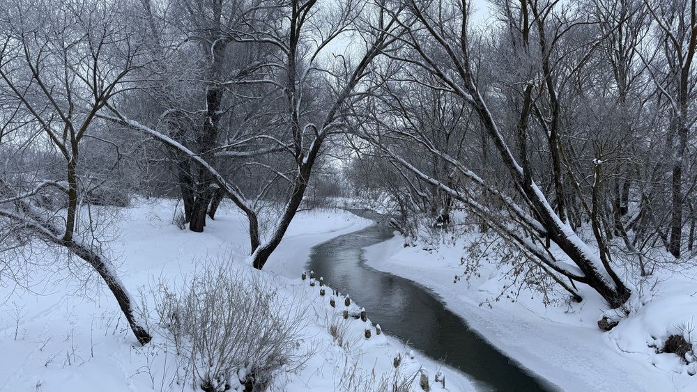 Photograph by Елена Гущина