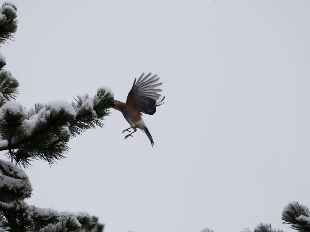 Photograph by Максим Новиков