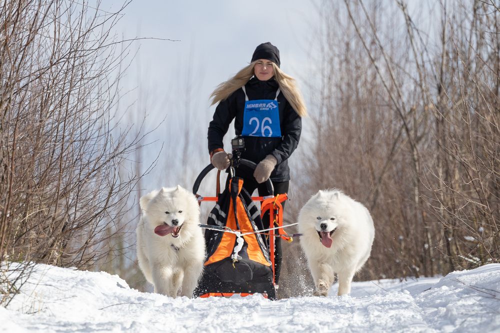 Photograph by Илья Юфа