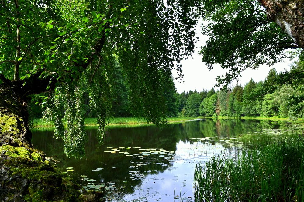 Photograph by Москалев Андрей