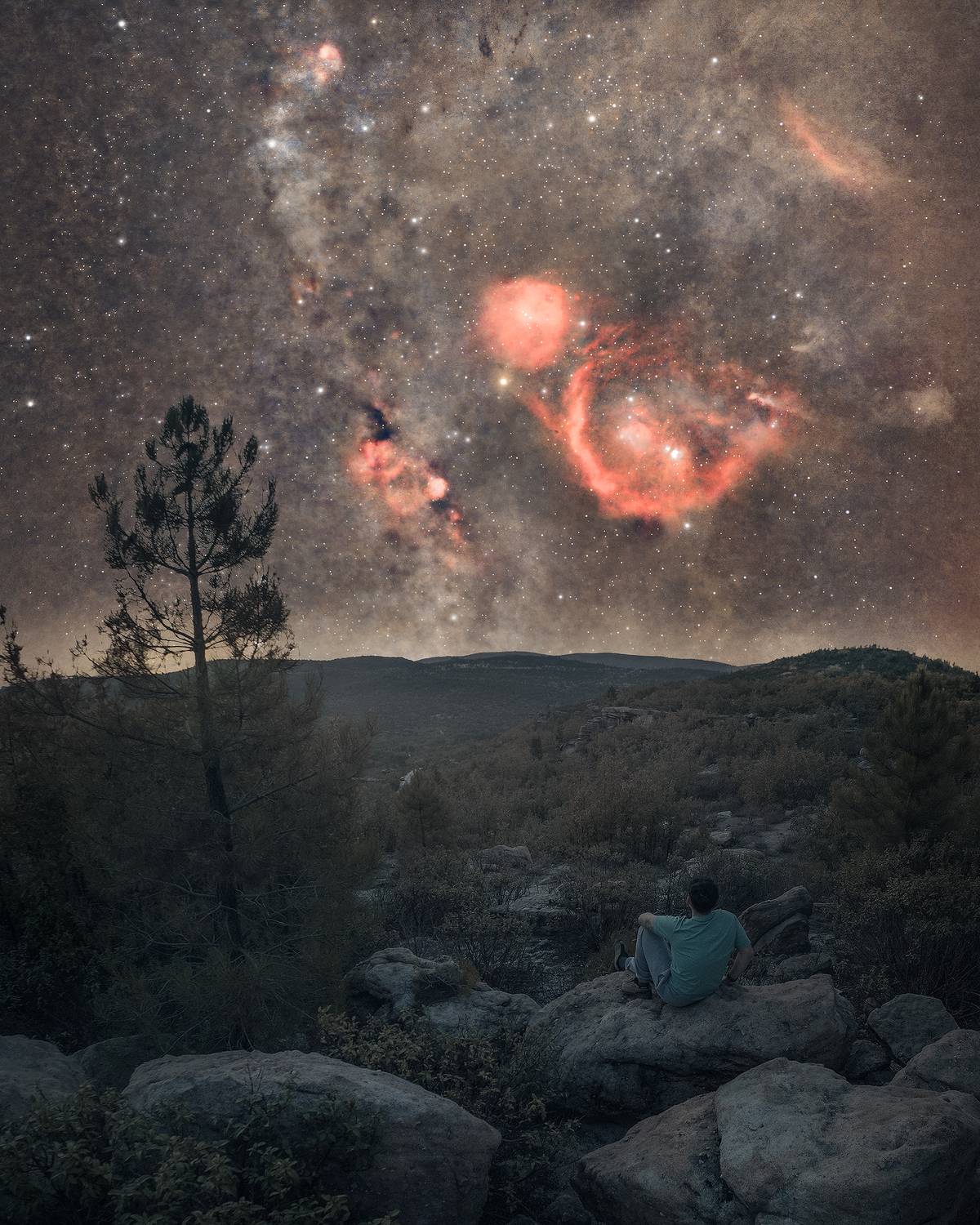 Фотография #13237076