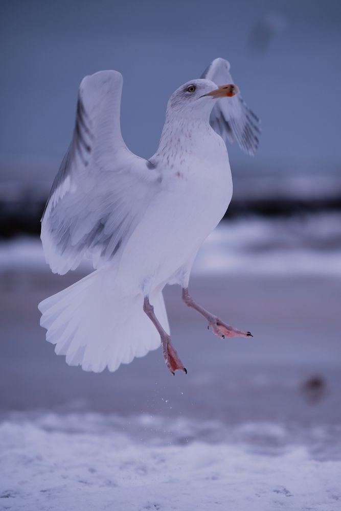 Photograph by Анастасия Пьянкова