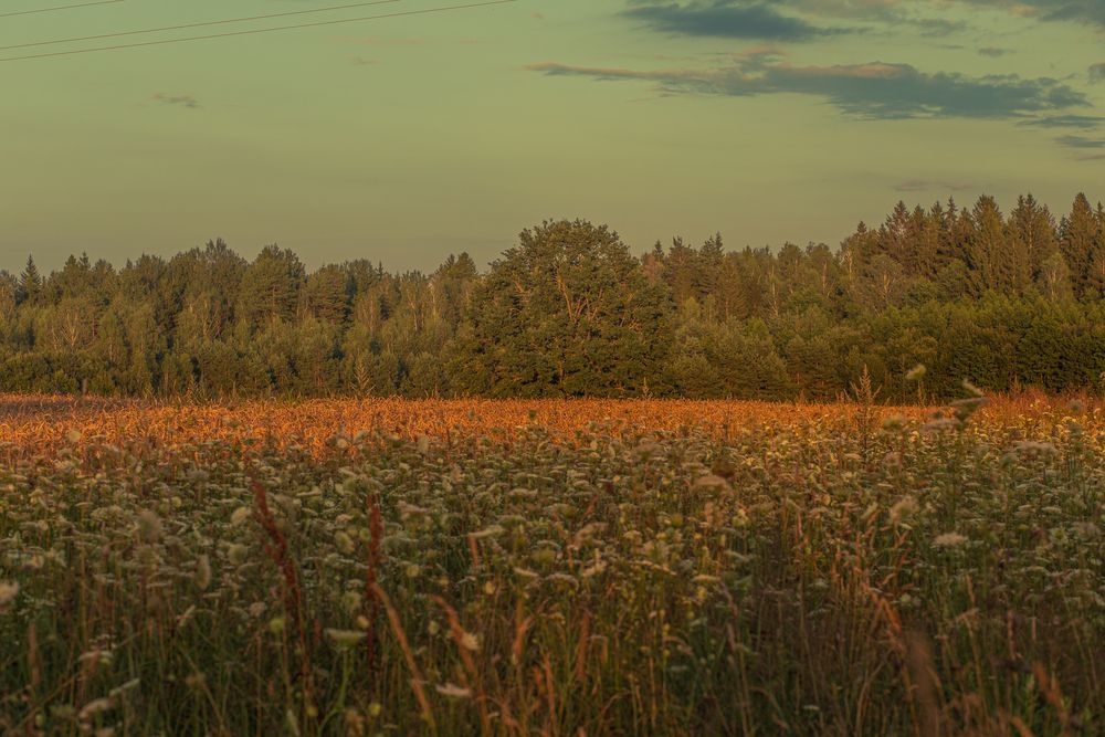 Photograph by Maryia Korenchuk