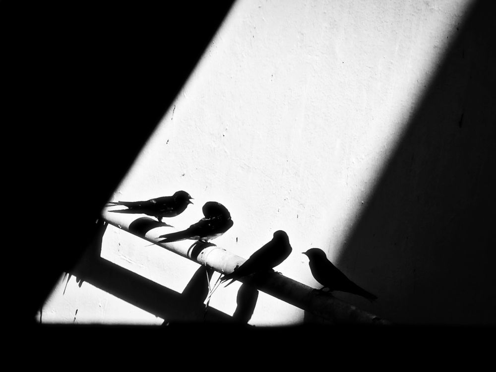 Photograph by Noreen Joei Africa