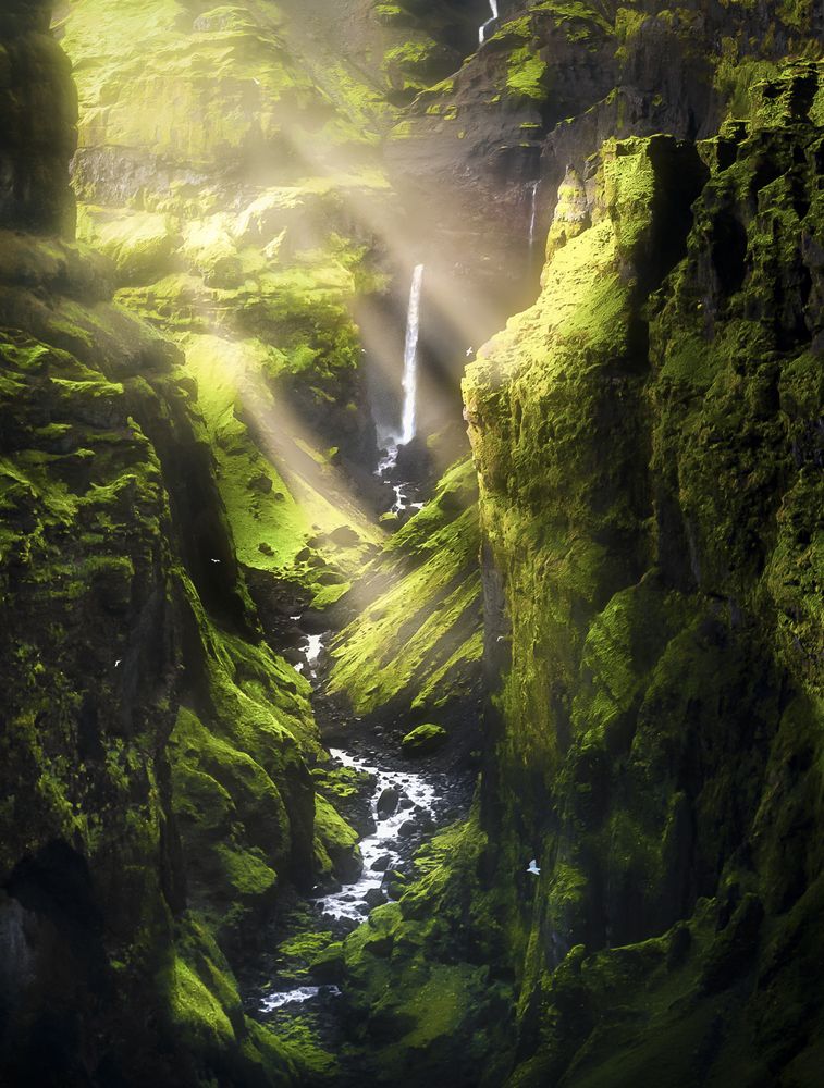 Photograph by Derek Ikeda