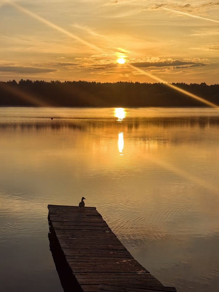 Фотография автора Maiya Bulatova