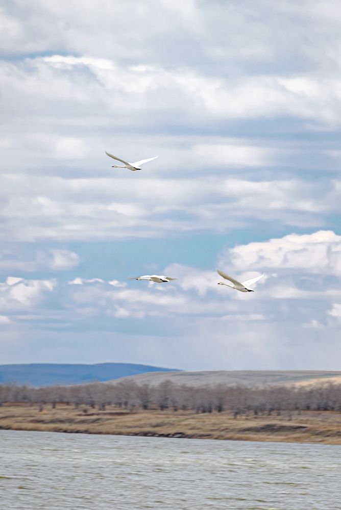 Photograph by Игорь Н. Адамов