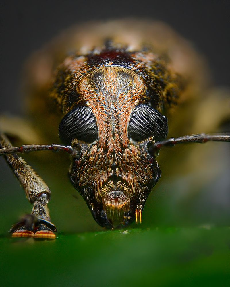 Photograph by Kasun Wickramasinghe