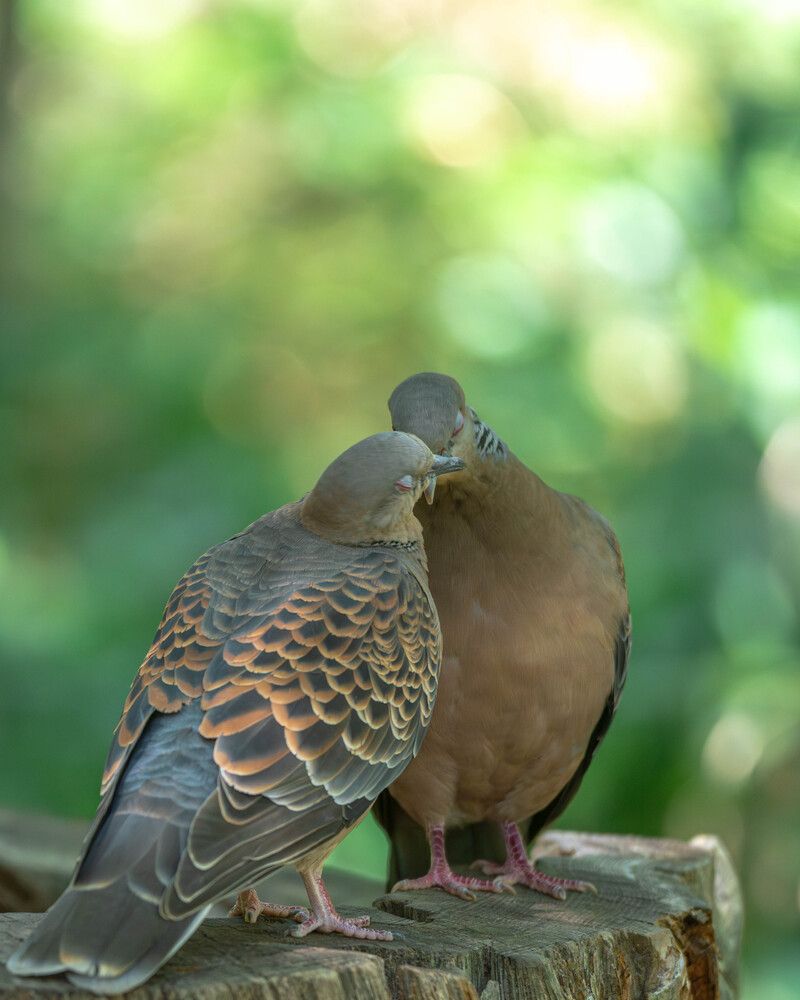 Photograph by Tatsuya Nieda