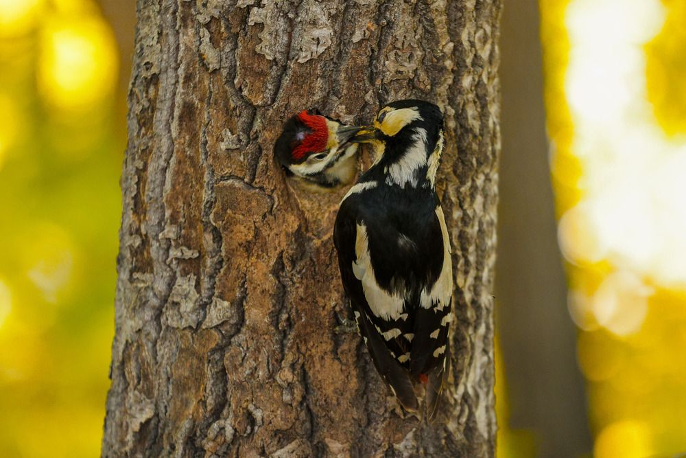 Photograph by Рыбаков Руслан