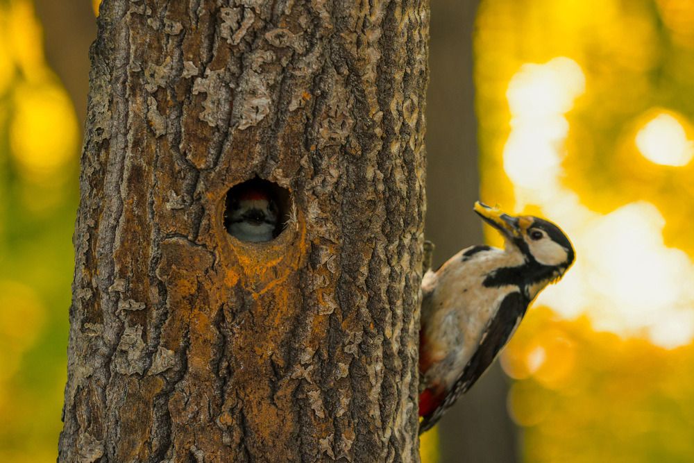Photograph by Рыбаков Руслан