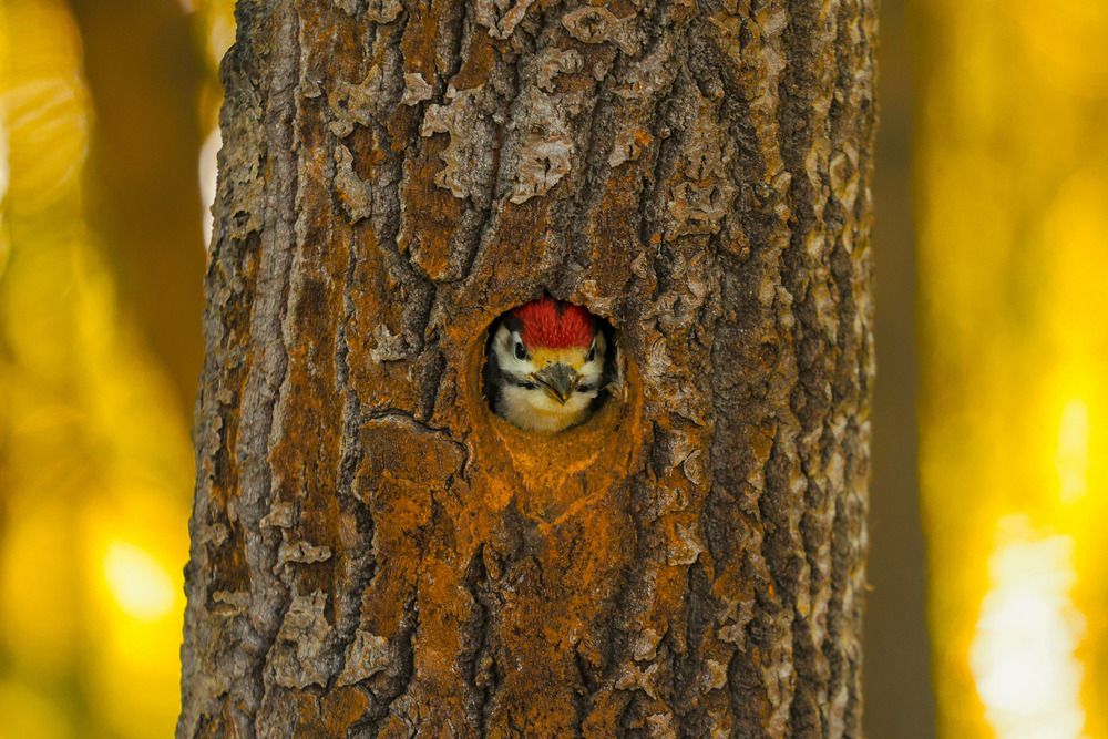 Photograph by Рыбаков Руслан