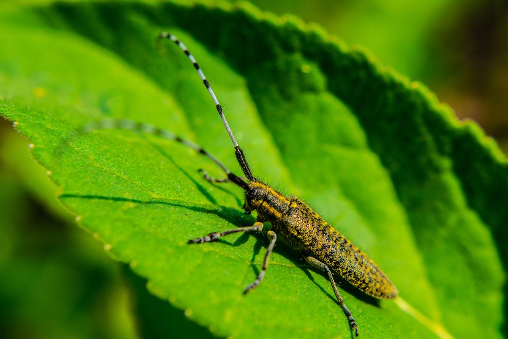 Photograph by Дмитрий Анисимов