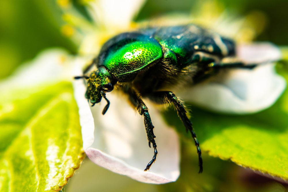 Photograph by Дмитрий Анисимов