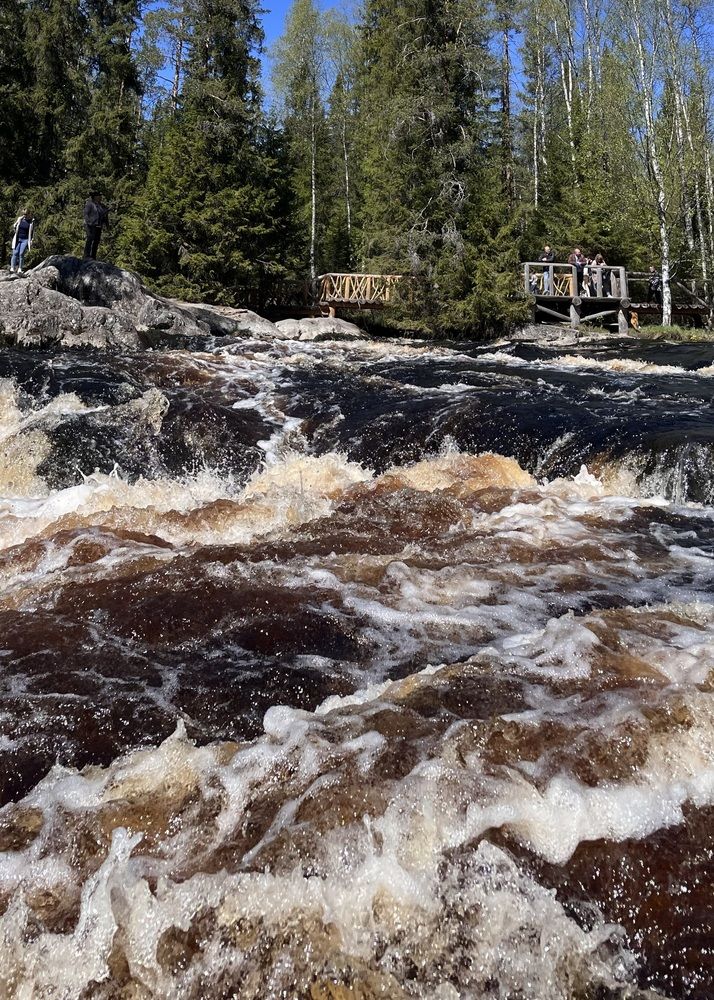 Фотография автора Ольга Белоусова