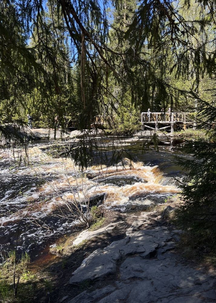 Фотография автора Ольга Белоусова