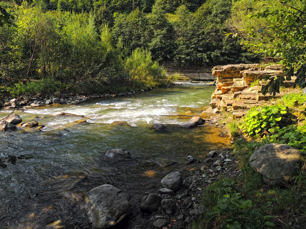 Фотография автора Савоцкий Роман