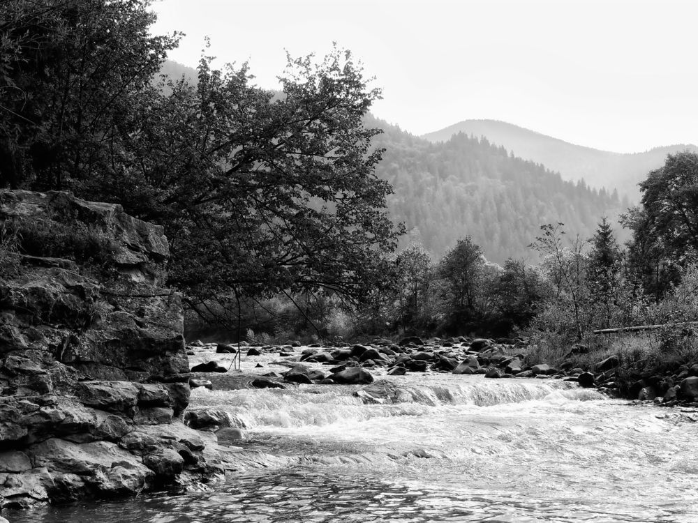 Photograph by Роман Савоцкий