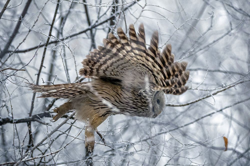 Photograph by Andrey Zaychenko