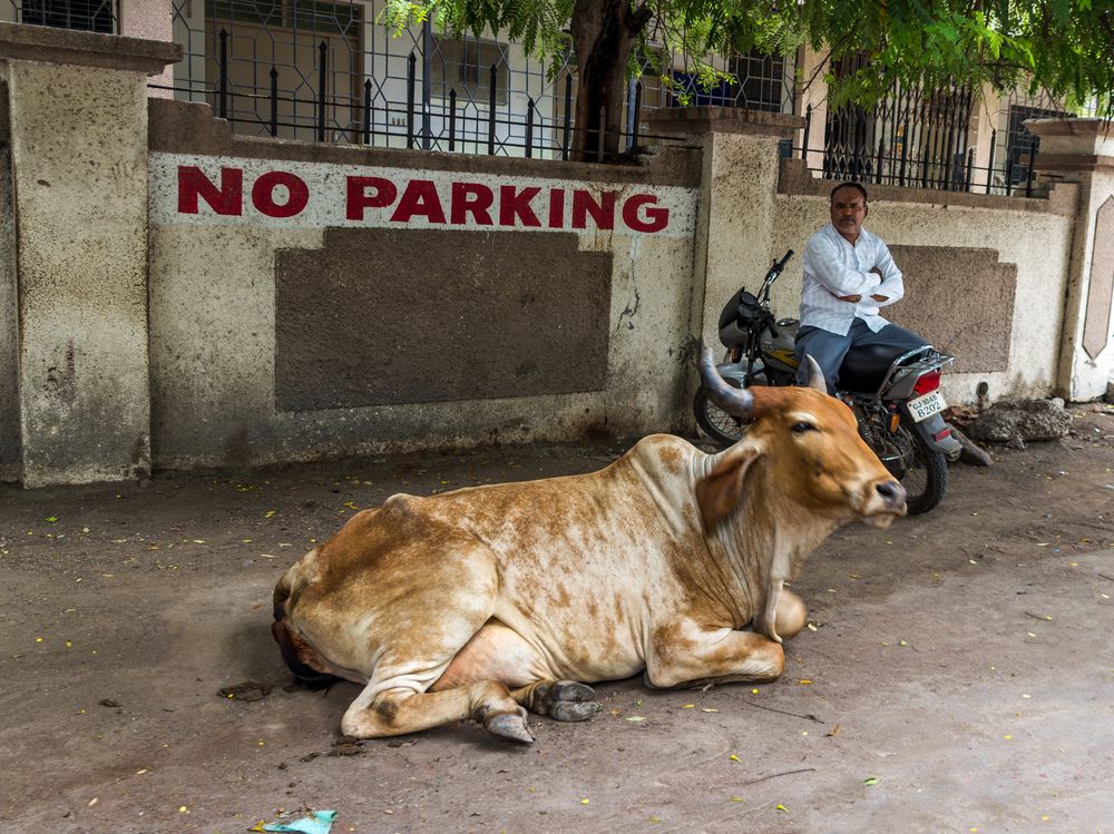 Photograph by Анатолий Костерев