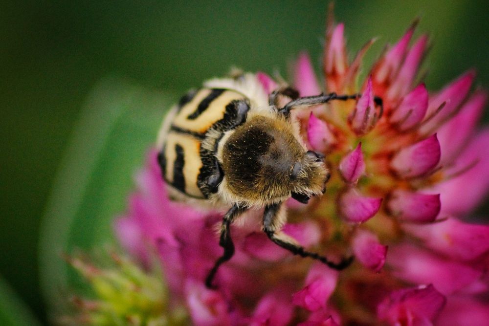 Photograph by Астафьева Анастасия