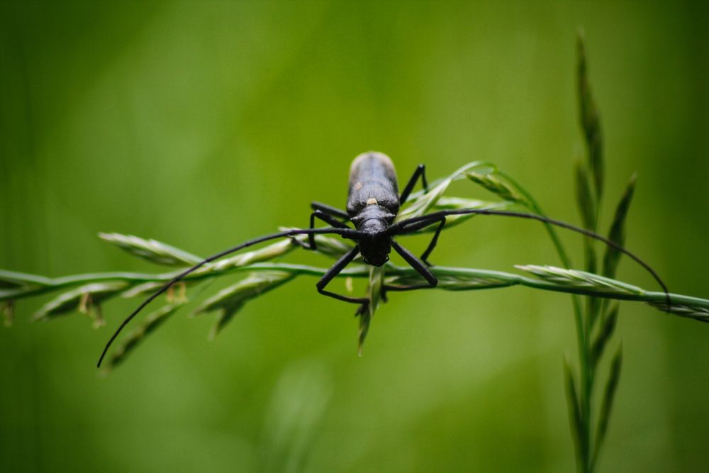 Photograph by Астафьева Анастасия
