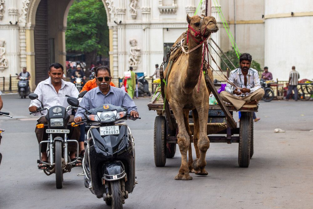 Photograph by Анатолий Костерев