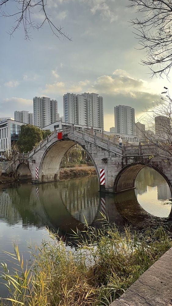 Фотография автора Елена Мизина