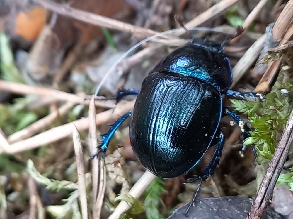 Photograph by Светлана Капитонова