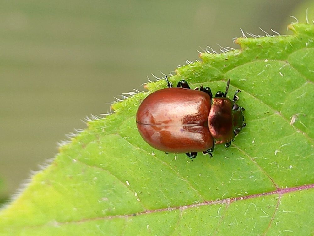 Photograph by Светлана Капитонова
