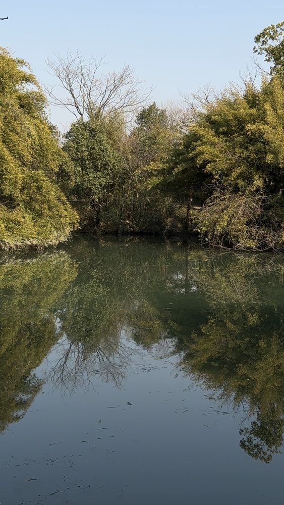 Фотография автора Елена Мизина