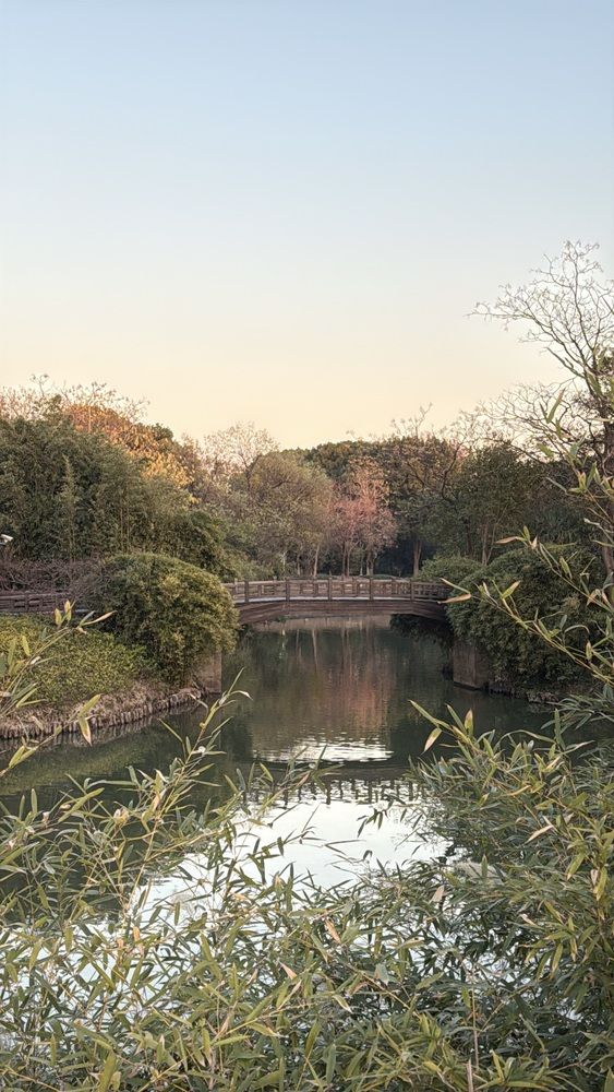 Фотография автора Елена Мизина