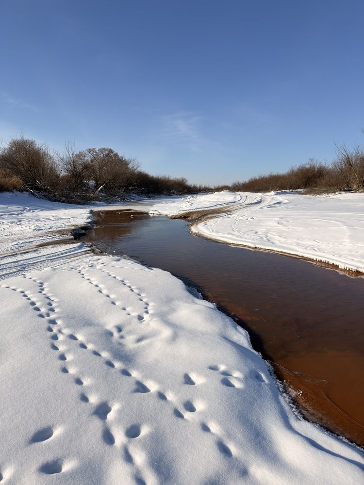 Photograph by Oksana Makrushina