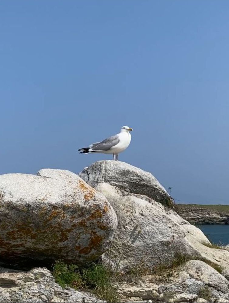 Photograph by Наталья Рябченко