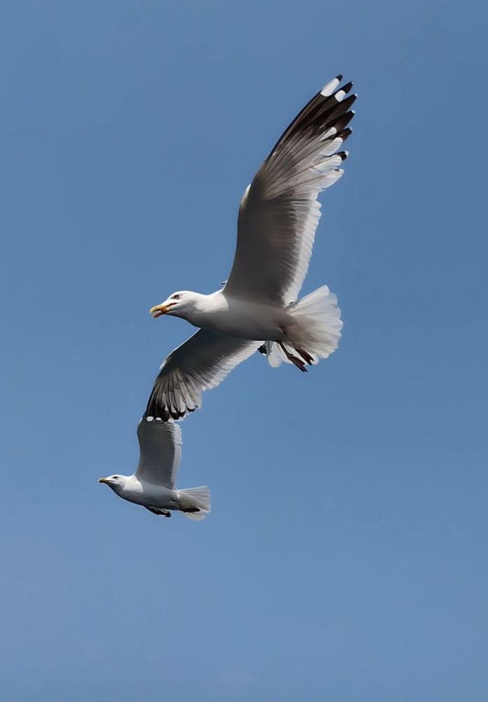 Photograph by Наталья Рябченко