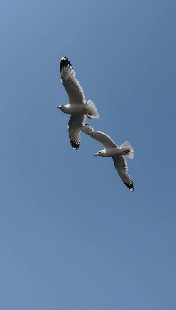 Photograph by Наталья Рябченко