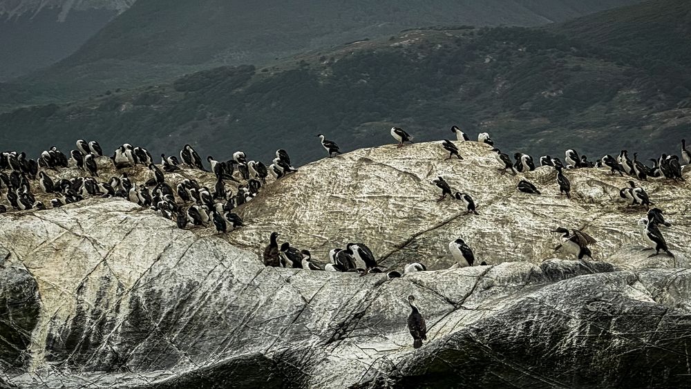 На краю света